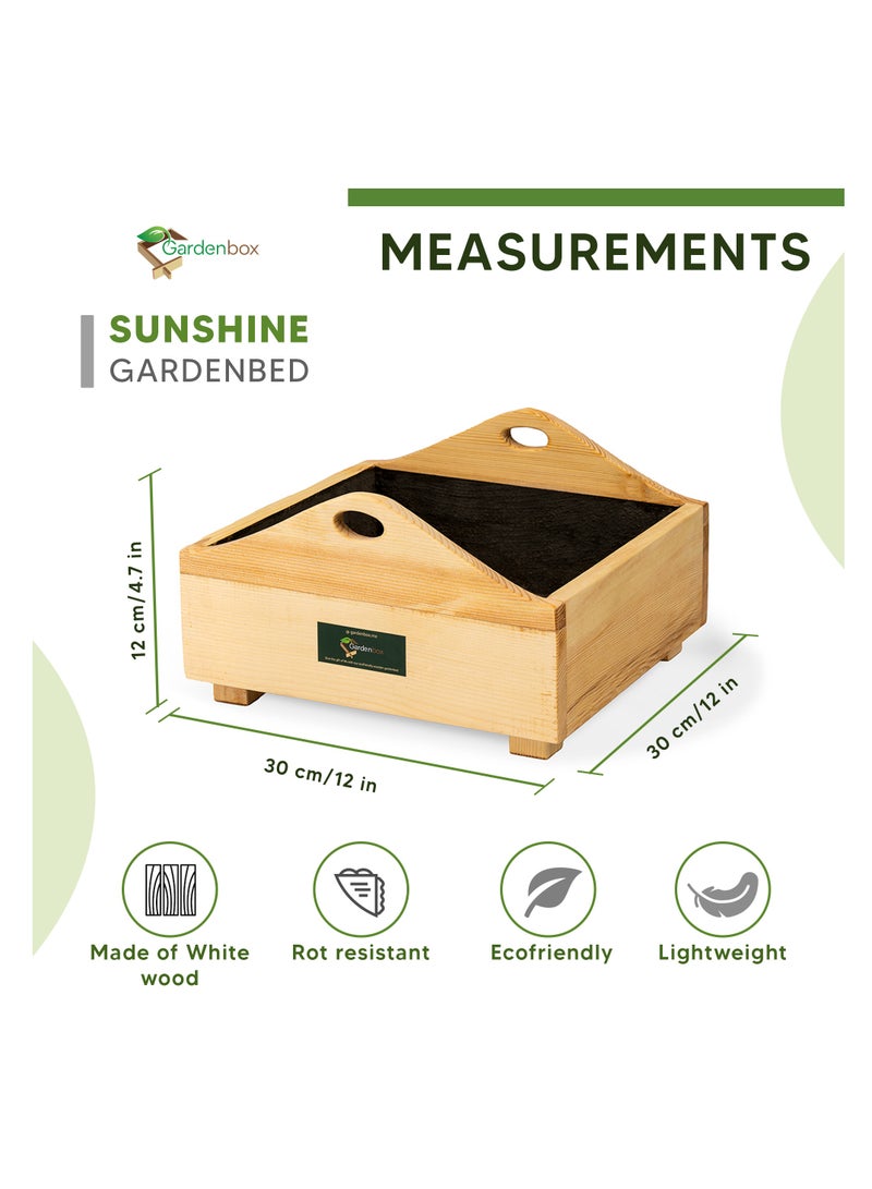 Sunshine Wooden Planter, 1 Foot x 1 Foot, grow plants in this decorative planter, starter kit to grow flowers, herbs, microgreens, desk decor. Planter for indoors and outdoors. - Image 2