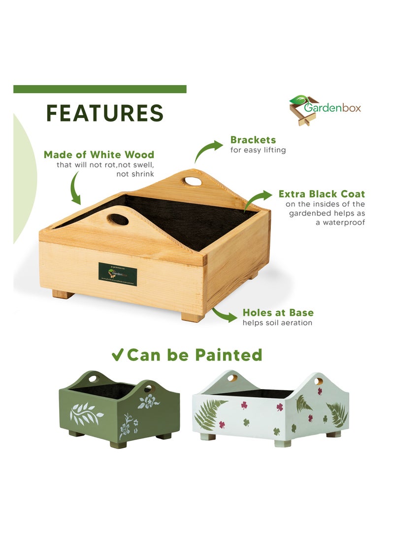 Sunshine Wooden Planter, 1 Foot x 1 Foot, grow plants in this decorative planter, starter kit to grow flowers, herbs, microgreens, desk decor. Planter for indoors and outdoors. - Image 4