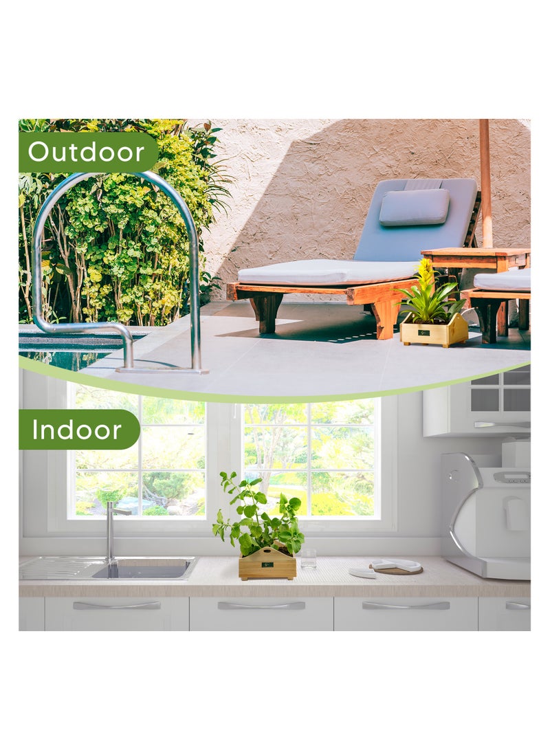 Sunshine Wooden Planter, 1 Foot x 1 Foot, grow plants in this decorative planter, starter kit to grow flowers, herbs, microgreens, desk decor. Planter for indoors and outdoors. - Image 3