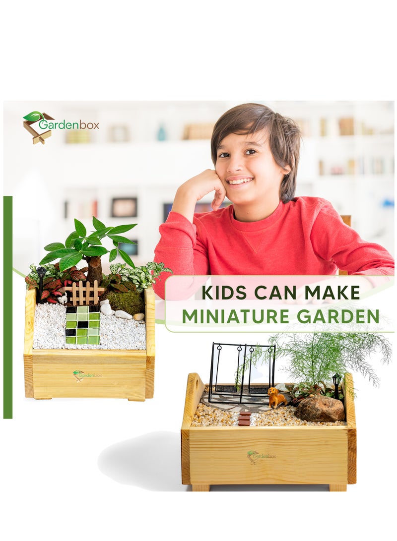 Sunshine Wooden Planter, 1 Foot x 1 Foot, grow plants in this decorative planter, starter kit to grow flowers, herbs, microgreens, desk decor. Planter for indoors and outdoors. - Image 5