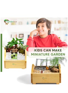 Generic Sunshine Wooden Planter, 1 Foot x 1 Foot, grow plants in this decorative planter, starter kit to grow flowers, herbs, microgreens, desk decor. Planter for indoors and outdoors.  - Image 5