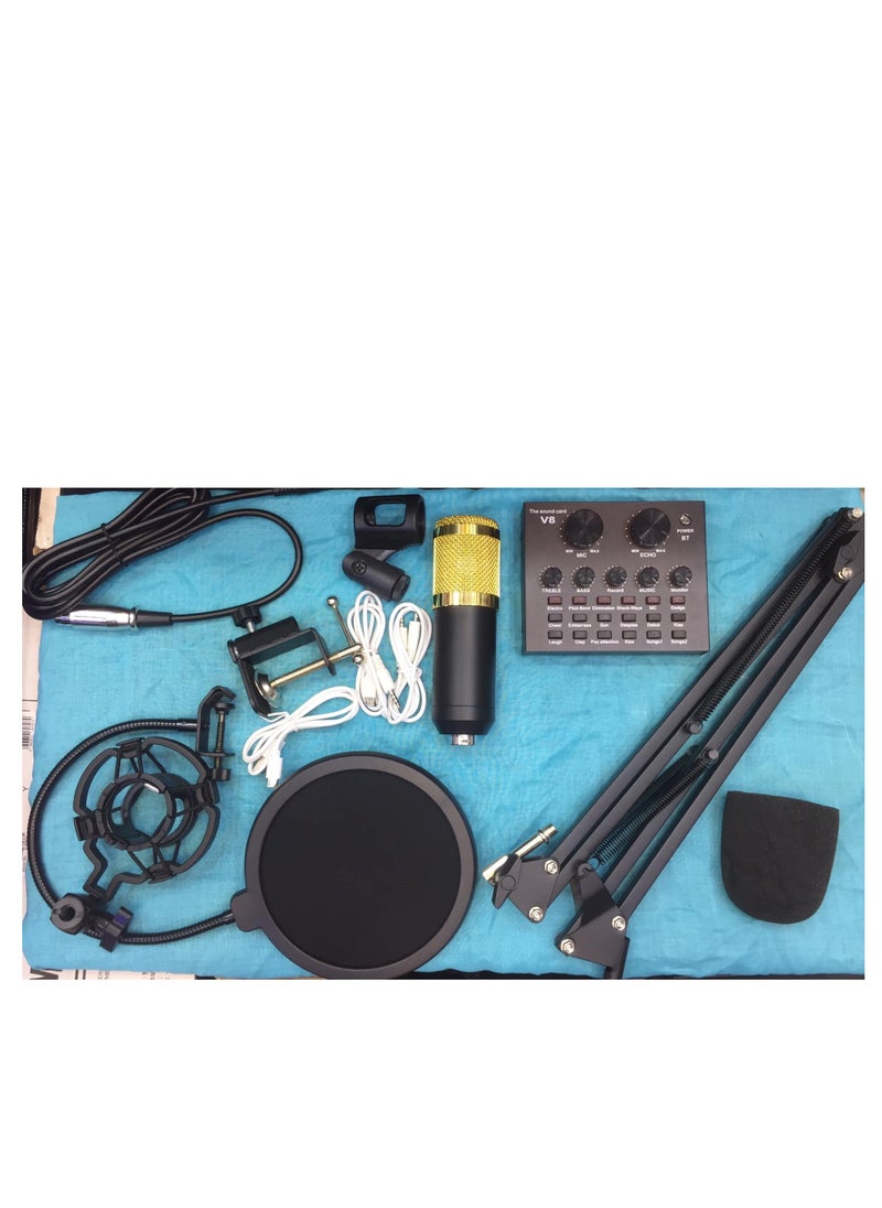 Professional Condenser Microphone With Live Voice Card And Studio Recording Broadcast Kit