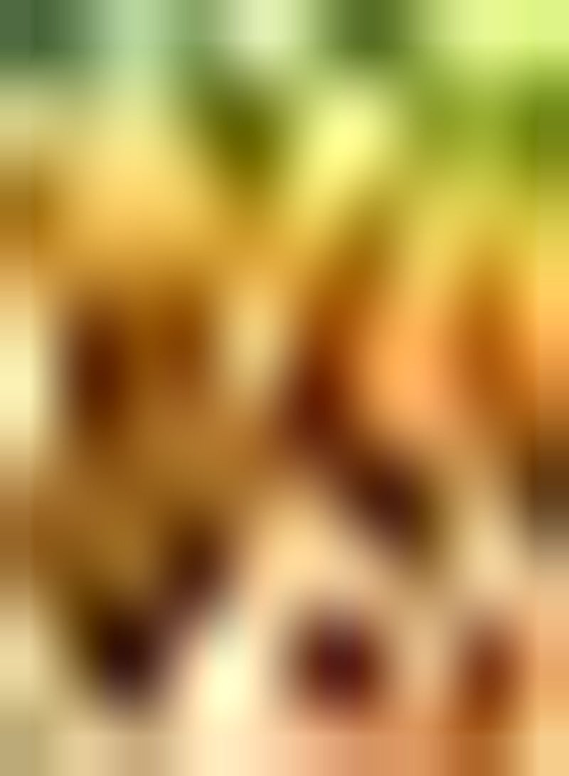 GGOOT 50pcs Orange Bitter Gourd Seeds Unique Gardening Ornamental Entry Level Variety Welcomed by Family Members Varieties Convenient Storage - Image 2