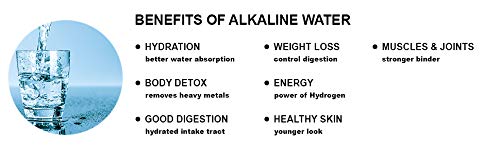 Alkaline Water Stick Stainless Steel Alkaline Water Ionizer for Healthy Anti Oxidant Water Ph 79 to 95 in Few Minutes with Ph Testing - Image 5