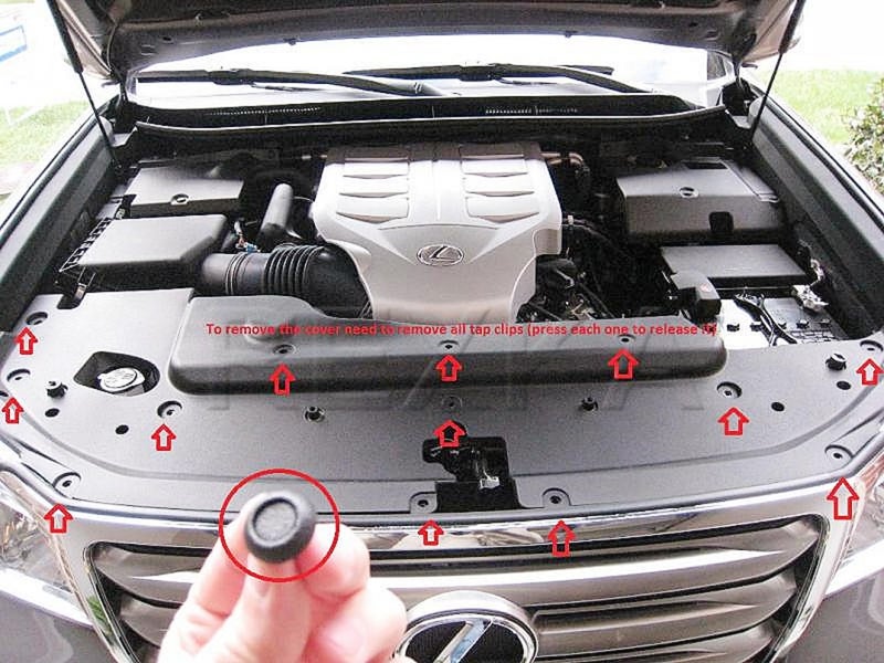 Rexka 30pcs Engine Cover Radiator Support Air Deflector Side Shield Retainer Clip 90467-07217 for Toyota Lexus 4Runner Avalon C-HR Camry Corolla Highlander Land Cruiser Mirai Prius Sienna ES RX UX GS - Image 4