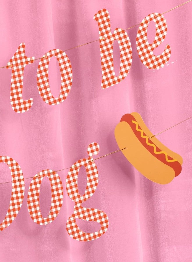 xo, Fetti Hot Dog Banner | Cookout Party, BBQ Decor, Summer Party, July 4th, Kids Party, Funny - Image 3
