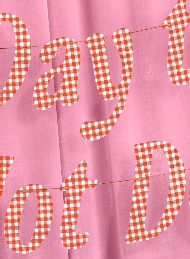xo, Fetti Hot Dog Banner | Cookout Party, BBQ Decor, Summer Party, July 4th, Kids Party, Funny - Image 5