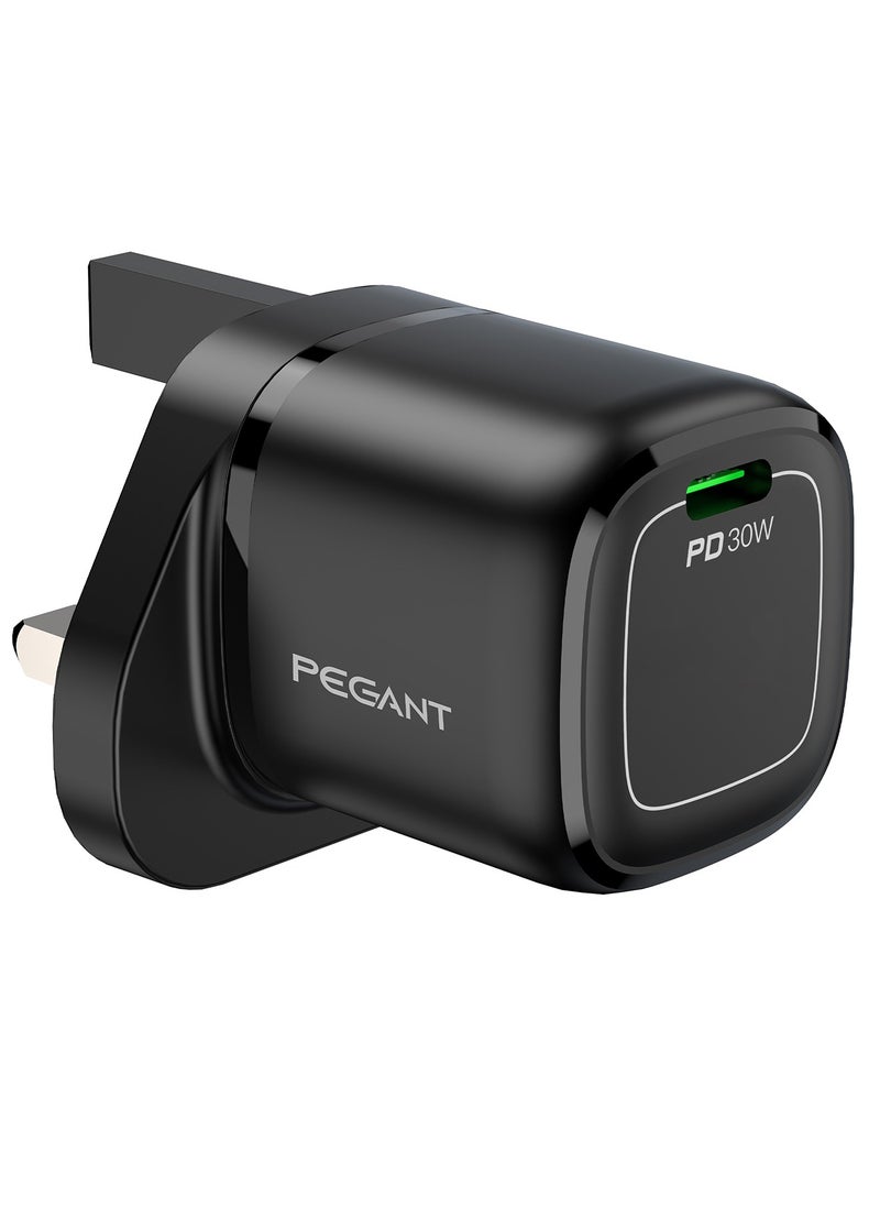 PEGANT 30W USB-C PD GaN Fast Charger Wall Adapter Plug Type C  - Image 1