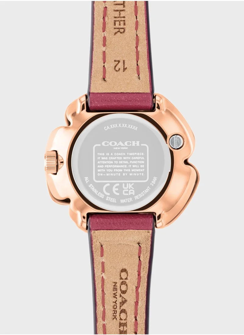 COACH Tea Rose New Family Analog Watch
