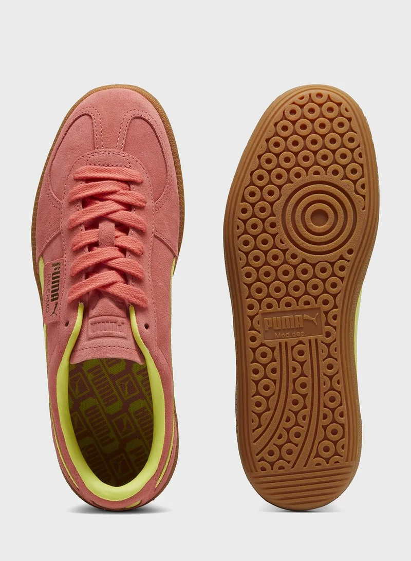 PUMA Palermo