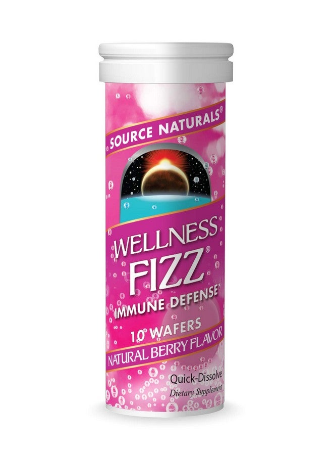 Source Naturals Wellness Fizz Natural Berry Flavor 10 Wafers - Image 2