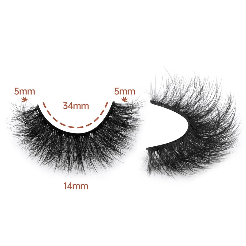 Focipeysa Fluffy Lashes Natural Wispy Eyelashes Full Volume Faux Mink Lashes 14mm Short Multipack with Premium Silk Fiber Vegan - Image 2