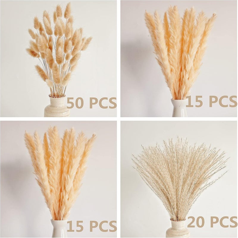 ANPROOR Natural Dried Pampas Grass Decor, Beige Pampas Grass, Bunny Tails Dried Flowers, Reed Grass Bouquet for Wedding Boho Flowers Home Table Decor, Rustic Farmhouse Party (100 in Total ) - Image 2