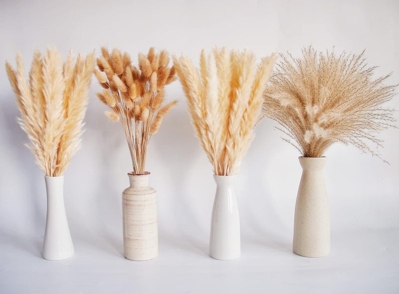 ANPROOR Natural Dried Pampas Grass Decor, Beige Pampas Grass, Bunny Tails Dried Flowers, Reed Grass Bouquet for Wedding Boho Flowers Home Table Decor, Rustic Farmhouse Party (100 in Total ) - Image 3