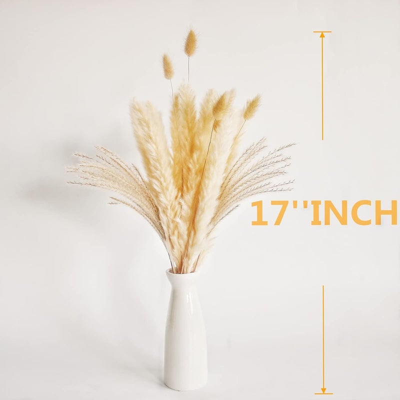 ANPROOR Natural Dried Pampas Grass Decor, Beige Pampas Grass, Bunny Tails Dried Flowers, Reed Grass Bouquet for Wedding Boho Flowers Home Table Decor, Rustic Farmhouse Party (100 in Total ) - Image 4