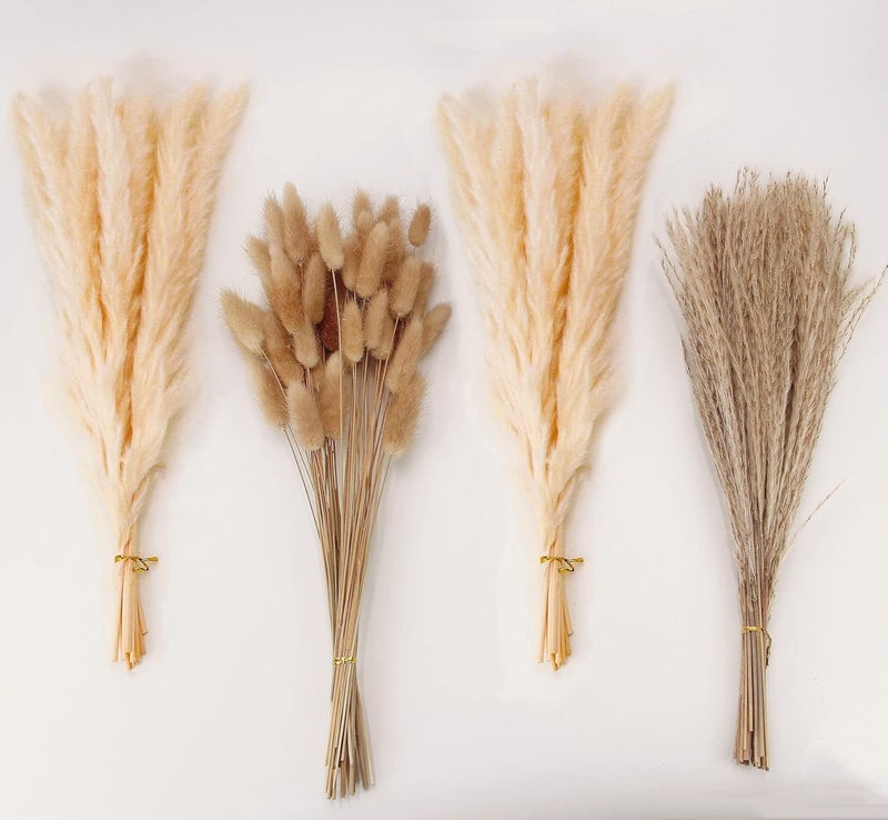 ANPROOR Natural Dried Pampas Grass Decor, Beige Pampas Grass, Bunny Tails Dried Flowers, Reed Grass Bouquet for Wedding Boho Flowers Home Table Decor, Rustic Farmhouse Party (100 in Total ) - Image 1