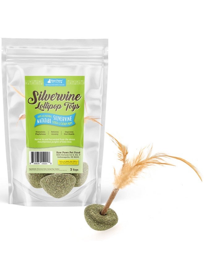 Raw Paws Silvervine Lollipop Toys, 3 ct - Feather Toys for Indoor Cats - Interactive Cat Toys with Feathers - Cat Kicker Toy - Image 2