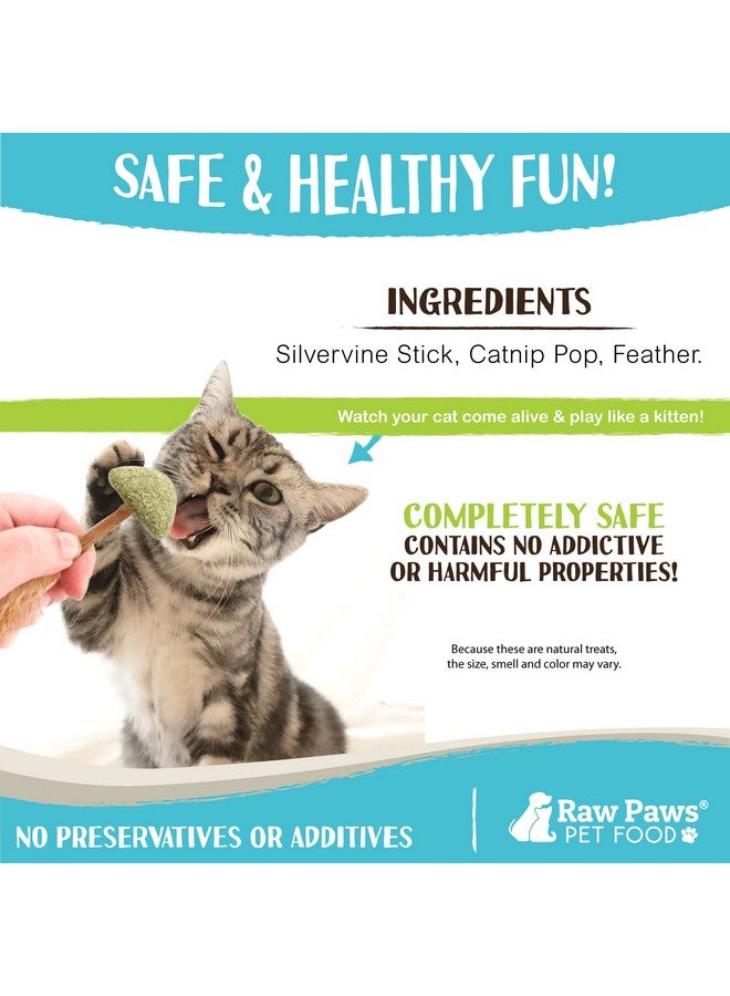 Raw Paws Silvervine Lollipop Toys, 3 ct - Feather Toys for Indoor Cats - Interactive Cat Toys with Feathers - Cat Kicker Toy - Image 5