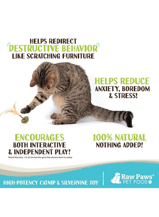Raw Paws Silvervine Lollipop Toys, 3 ct - Feather Toys for Indoor Cats - Interactive Cat Toys with Feathers - Cat Kicker Toy - Image 3