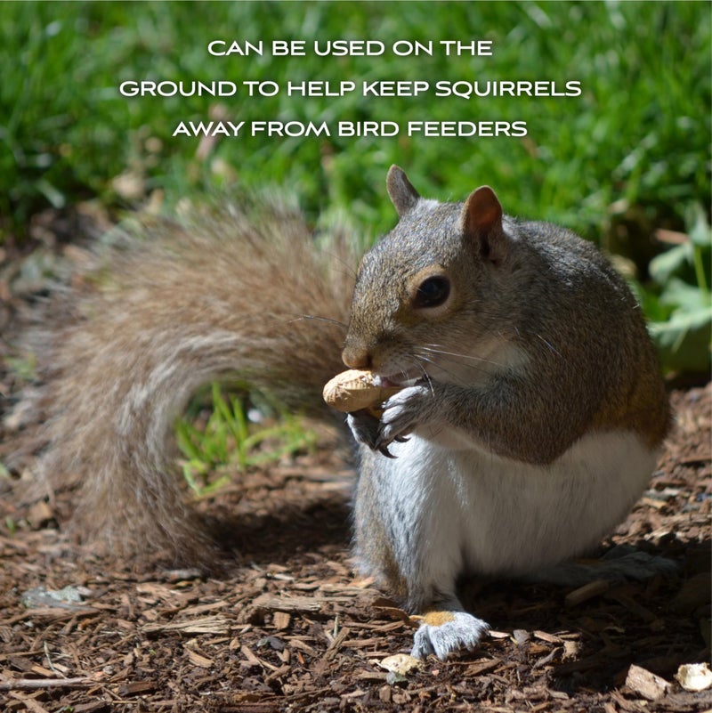 Pennington Classic in Shell Peanuts 5 pounds - Image 5