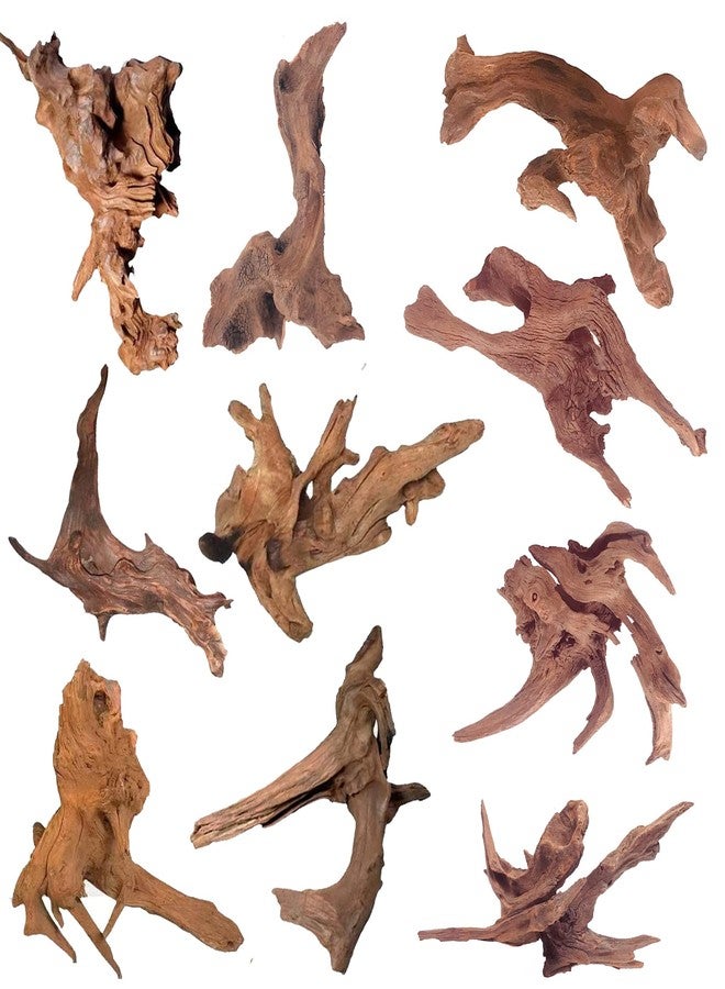 WDEFUN Natural Driftwood for Aquarium Decor, 10-Piece 2''-5'' Small Driftwood for Decorations on Fish Tank, Reptiles Bearded Dragon Accessories or Air Plants - Image 1