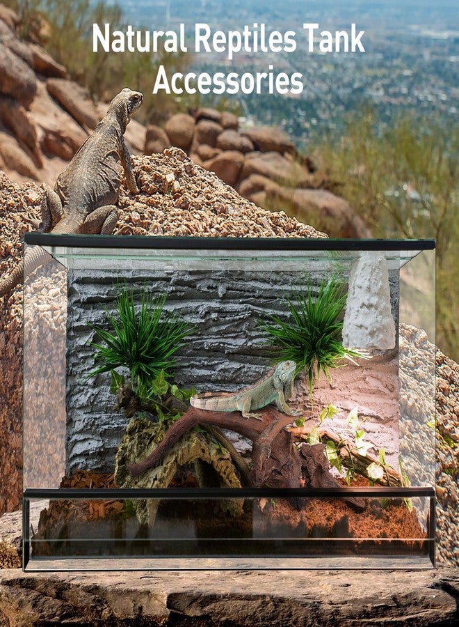 WDEFUN Natural Driftwood for Aquarium Decor, 10-Piece 2''-5'' Small Driftwood for Decorations on Fish Tank, Reptiles Bearded Dragon Accessories or Air Plants - Image 5