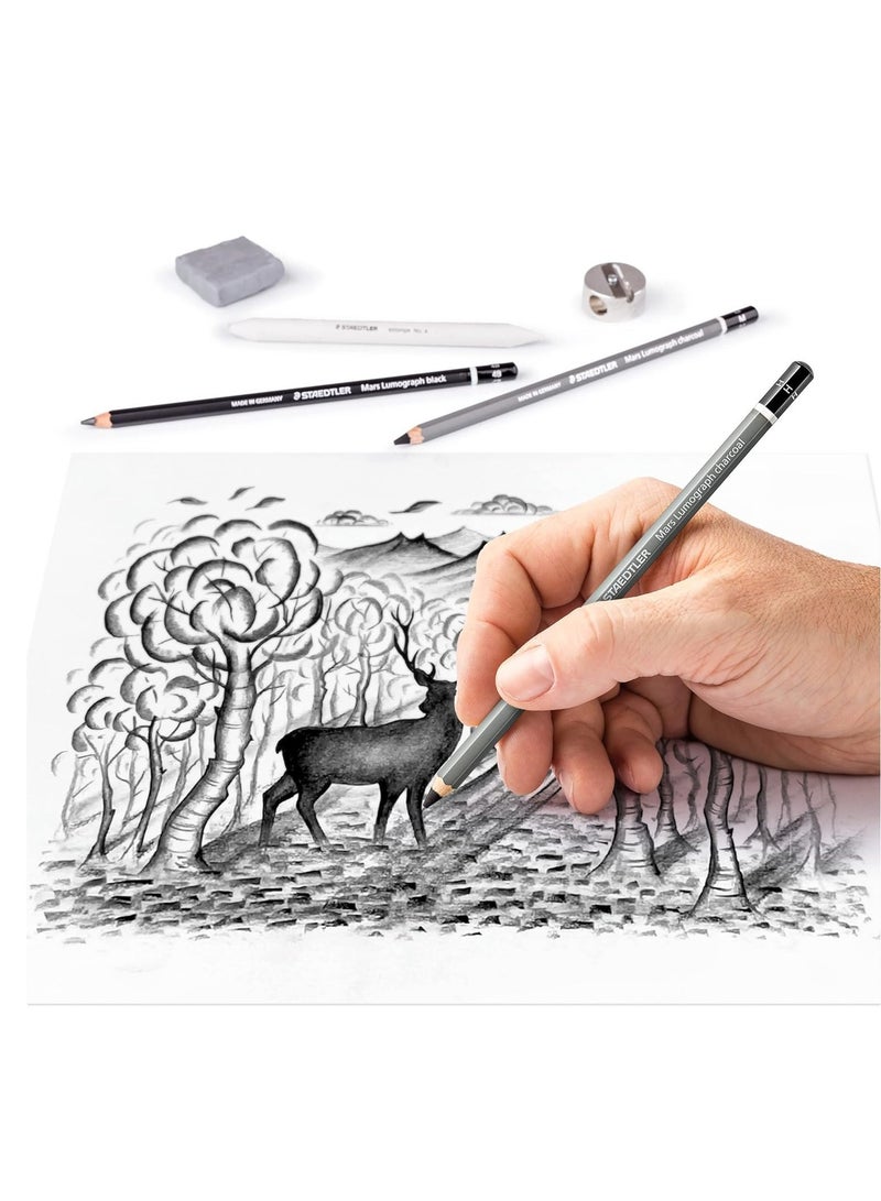 STAEDTLER طقم فحم تصميم 12 قطعة - Image 3