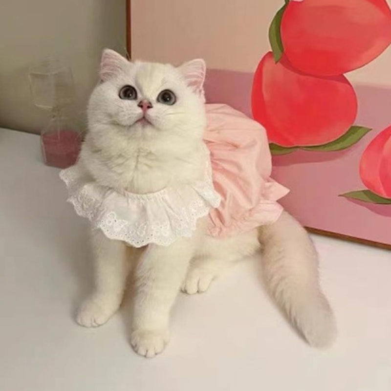 Breathable Summer Dog Cat Dress Pink XL For Daily Walks Photoshoot - Image 3