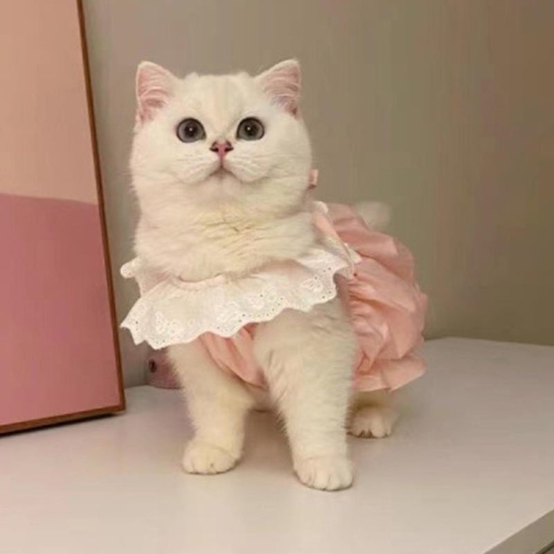 Breathable Summer Dog Cat Dress Pink XL For Daily Walks Photoshoot - Image 4