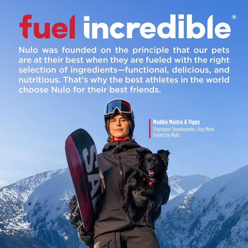 Nulo FreeStyle Limited Ingredient Dry Dog Food - High Protein Salmon Recipe, Natural Grain Free Dog Food for Puppies & Adults, Small, Medium and Large Breed Kibble, 24lb Bag - Image 3