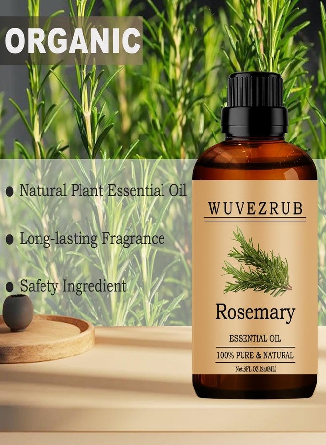 Wuvezrub Rosemary Essential Oils, 240ML Pure and Natural Essential Oil for Aromatherapy Diffuser - Rosemary /8 Fl Oz - Image 4