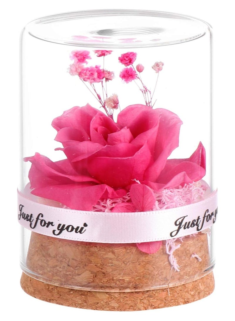 Excefore Preserved Flower In Glass Dome Everlasting Forever Handmade Rose Galaxy Flower Artificial Flower Natural Eternal Never Withered Flowers, Mother's Day, Anniversary, Birthday - Image 1