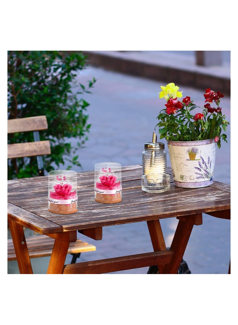 Excefore Preserved Flower In Glass Dome Everlasting Forever Handmade Rose Galaxy Flower Artificial Flower Natural Eternal Never Withered Flowers, Mother's Day, Anniversary, Birthday - Image 4