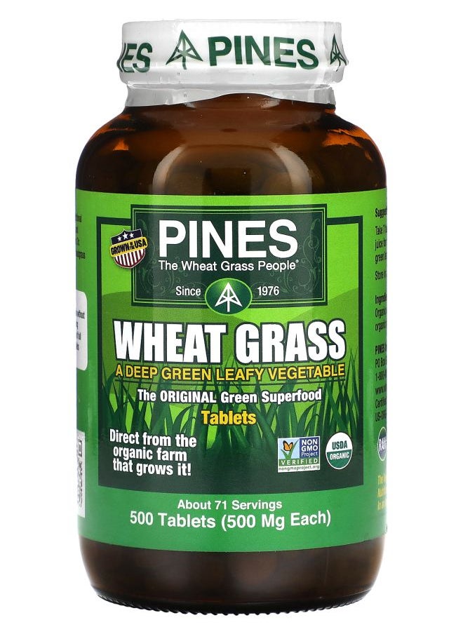 Wheat Grass 500 mg 500 Tablets - pzsku/Z1E36714EC1F8B3114DDCZ/45/_/1729515223/98fcfb67-91c0-49a1-80d0-02c9a6f9c13d