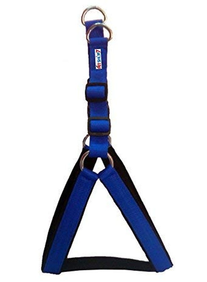Pet Believe Nylon Padded Adjustable Dog Harness and Leash Rope for Large Pet (1.25-inch, Chest Size: 33-42, Blue) - Image 1