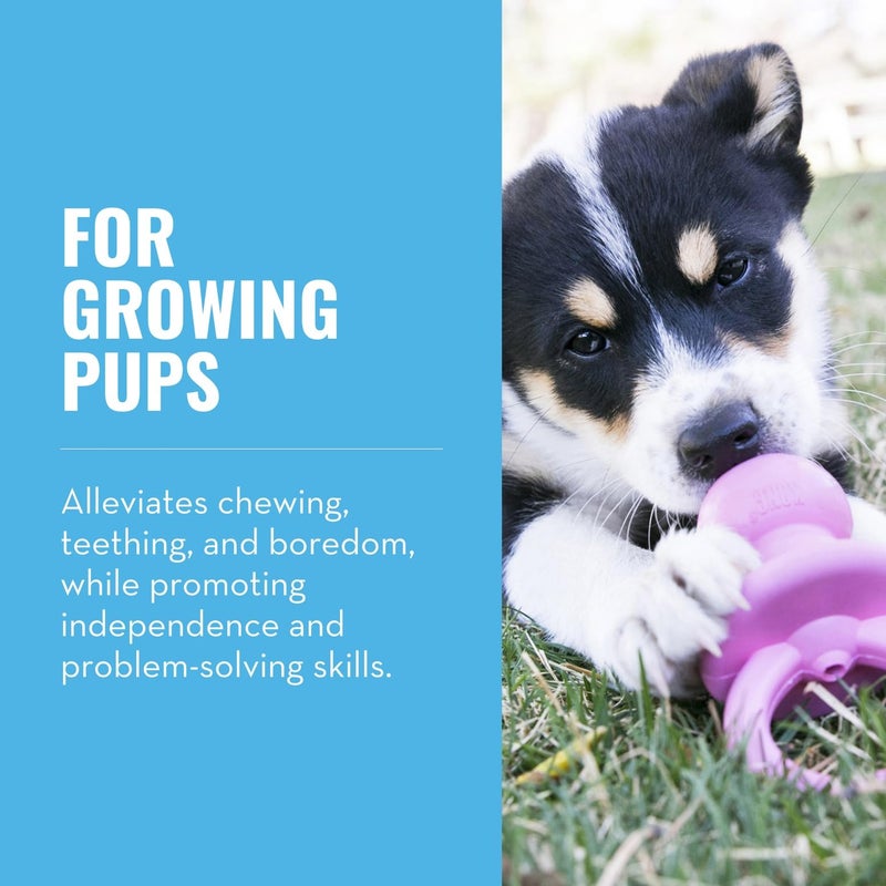 KONG Puppy Binkie - Pacifier Dog Toy for Puppies - Stuffable Treat Chew Toy for Treats - Durable Natural Rubber for Teething Puppy - for Small Puppies - Pink - Image 2