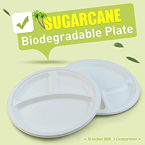 SANWALSA [10 inch, 3-Compartment, 15 Count, Round, White Disposable Bagasse Paper Plates | Eco-Friendly Sugarcane Plates for Wedding, Party, Picnic - Image 3