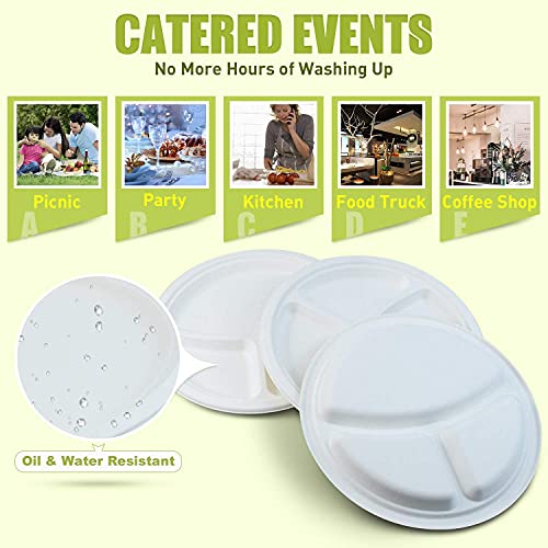 SANWALSA [10 inch, 3-Compartment, 15 Count, Round, White Disposable Bagasse Paper Plates | Eco-Friendly Sugarcane Plates for Wedding, Party, Picnic - Image 4