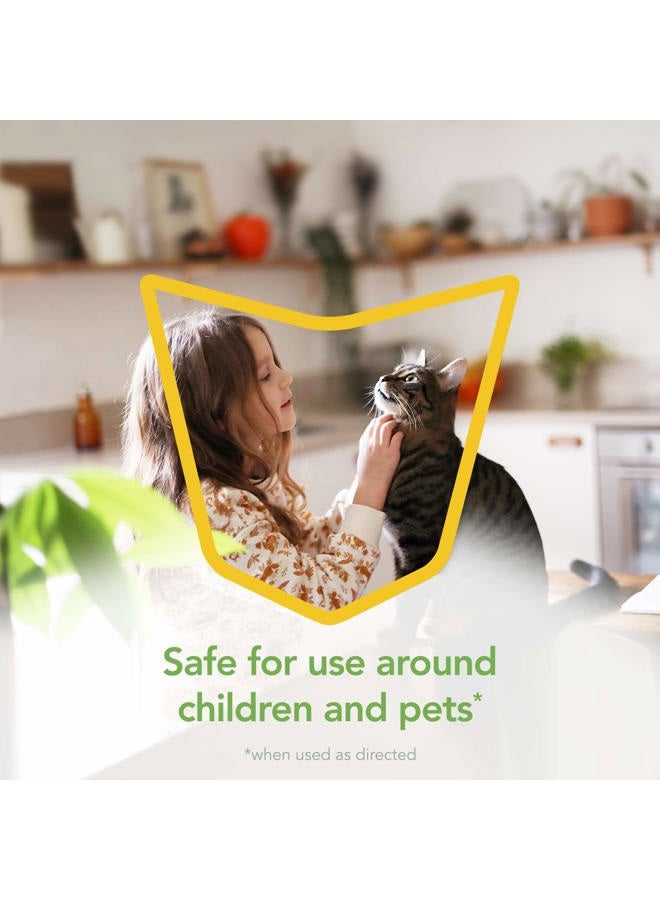 RAID Essentials Ant Spider, and Roach Killer Aerosol Spray, Child & Pet Safe, Kills Insects Quickly, for Indoor Use, 10 oz - Image 2