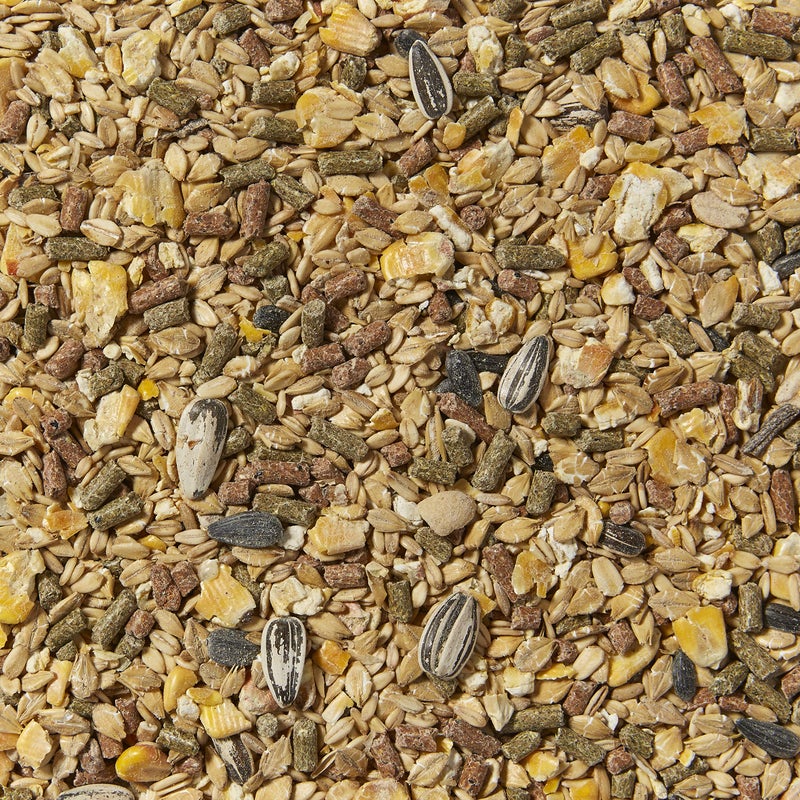 Kaytee Supreme Hamster & Gerbil Food, 2 Lb - Image 3