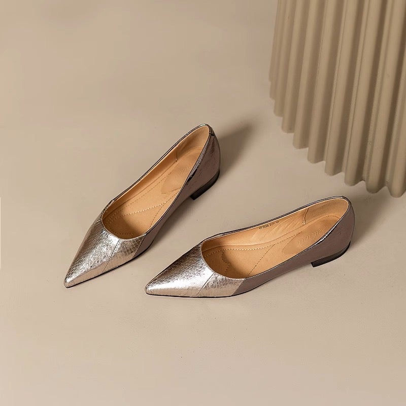 2024 Spring And Style Leather Pattern Pointed Toe Low Heel Flat Shoes Shallow Mouth All-Match Women'S Shoes Silver Temperament Single Shoes For Women - Image 5