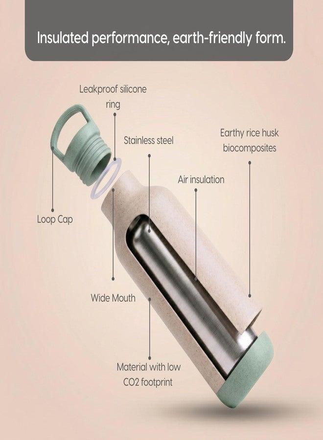 Eha Earth Friendly Eco Spring Water Bottle for Office with Stainless Steel Inner | Made with Rice Husk | Water Bottles for Adults | Bottle for School Kids |1 Unit, 900 ml | Celeste - Image 2