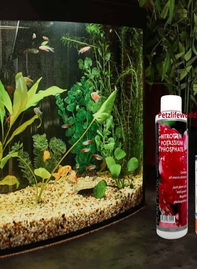 VAYINATO Aquatic Remedies Plant Health Formula & Plant Food Combo, 2x220ML (Complete Aquatic Plant Micro & Macro Nutrients) - Image 2