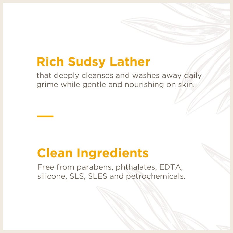 Soapbox Foaming Hand Soap Orange Zest & Fennel, 11oz Pump Bottles, 3 Pack, Cruelty Free, Vegan Moisturizing Foaming Hand Wash for Kitchen & Bathroom - Image 4