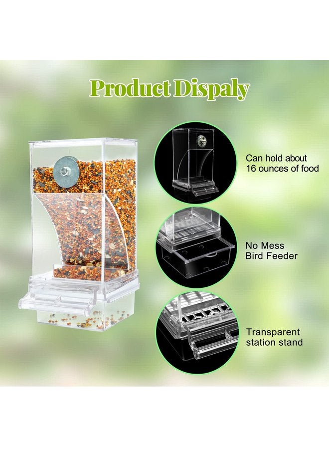 Rypet No Mess Automatic Bird Feeder Transparent Food Container Cage Acrylic Parrot Feeder Accessories for Small Birds Parrot Cockatoo Canary - Image 3