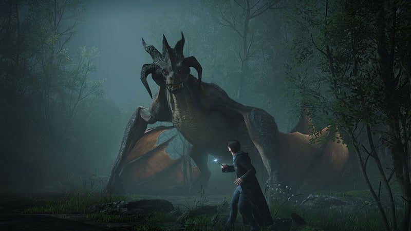 Warner Bros Hogwarts Legacy - playstation_4_ps4 - Image 2