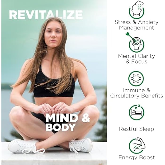 Nutrivein Ashwagandha for Men & Women - 1600mg - Enhanced with Black Pepper - High-Absorption Root Powder Ashwagandha Supplements for Mood Balance, Restful Sleep, & Focus - 120 Vegan Capsules - Image 4