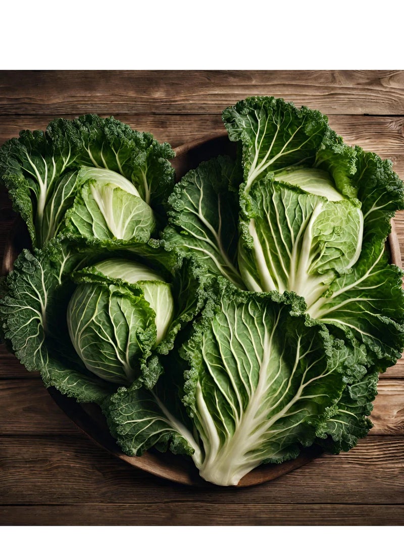 GROW - Cabbage seeds - Al Fajr - Image 1