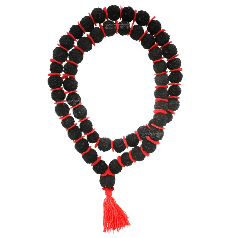 Edmiria 5 Mukhi Rudraksha Kantha Mala Big Beads | Five Face (Panch Mukhi) Rudraksha Kantha | Mala| Holy & Auspicious Nepali Rudraksha Size-20mm Approx (Black 54+1) - Image 5