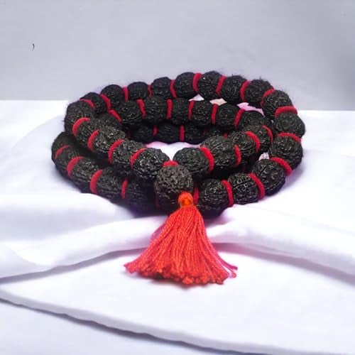 Edmiria 5 Mukhi Rudraksha Kantha Mala Big Beads | Five Face (Panch Mukhi) Rudraksha Kantha | Mala| Holy & Auspicious Nepali Rudraksha Size-20mm Approx (Black 54+1) - Image 3